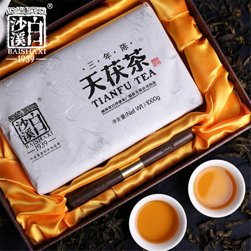 三年陳天茯茶